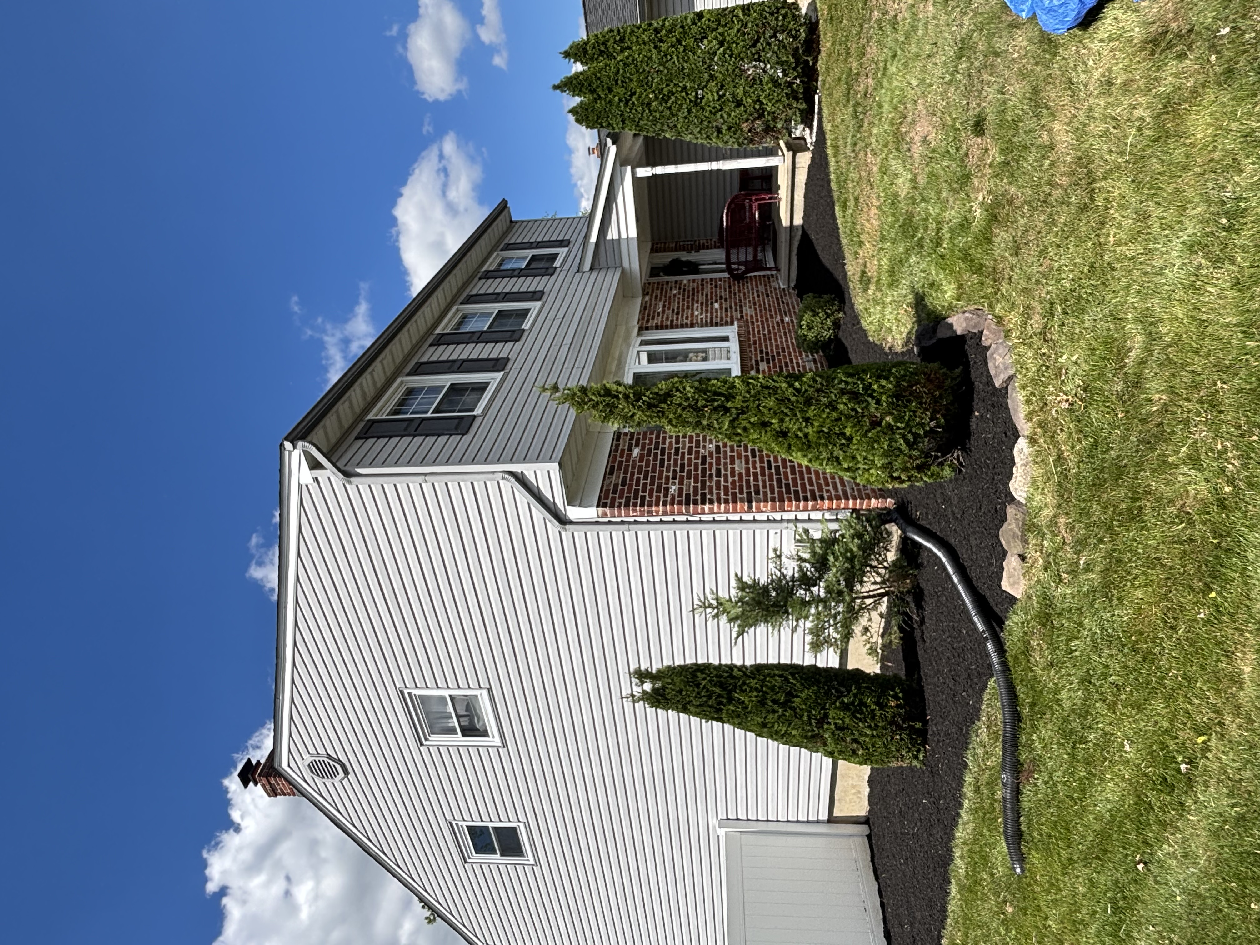 Arborvitae Planting & Mulch