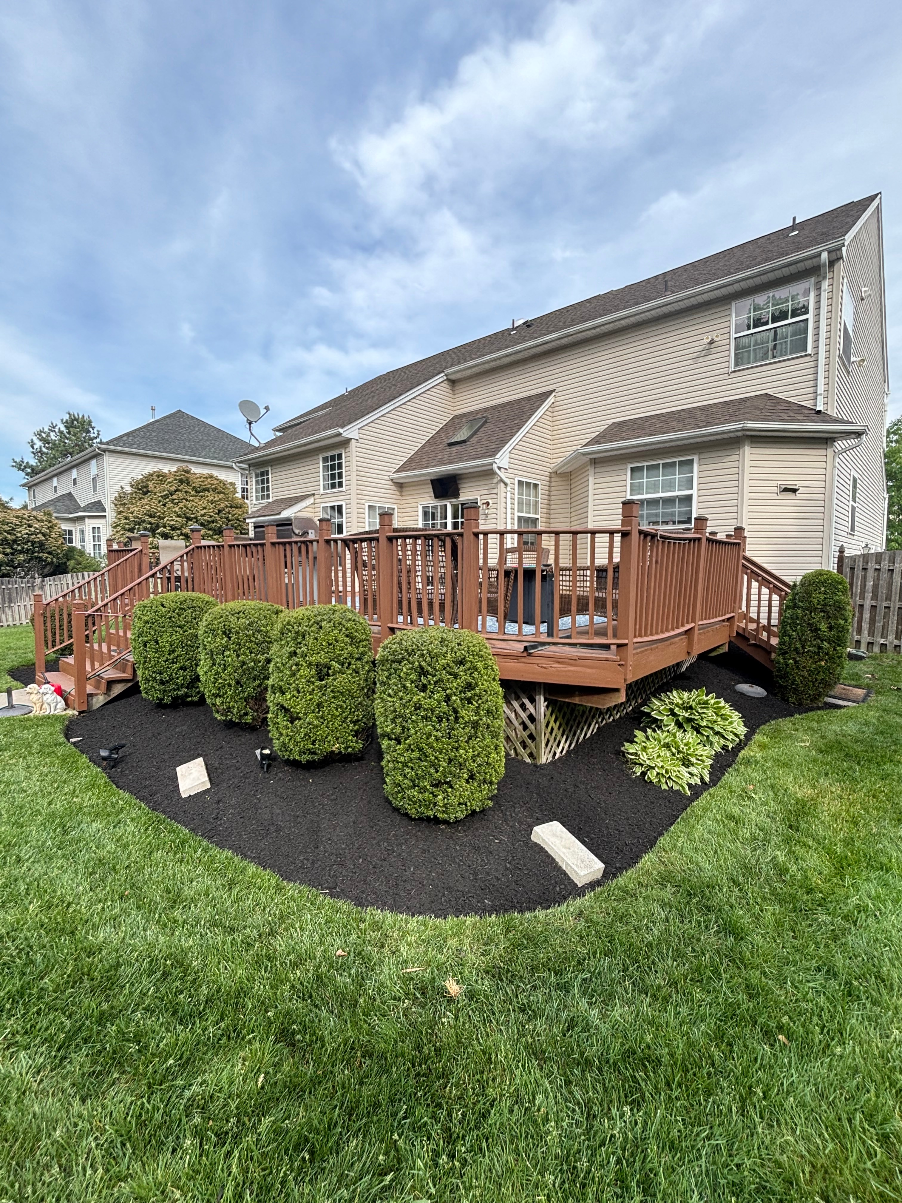 Backyard Deck Mulch & Boxwoods