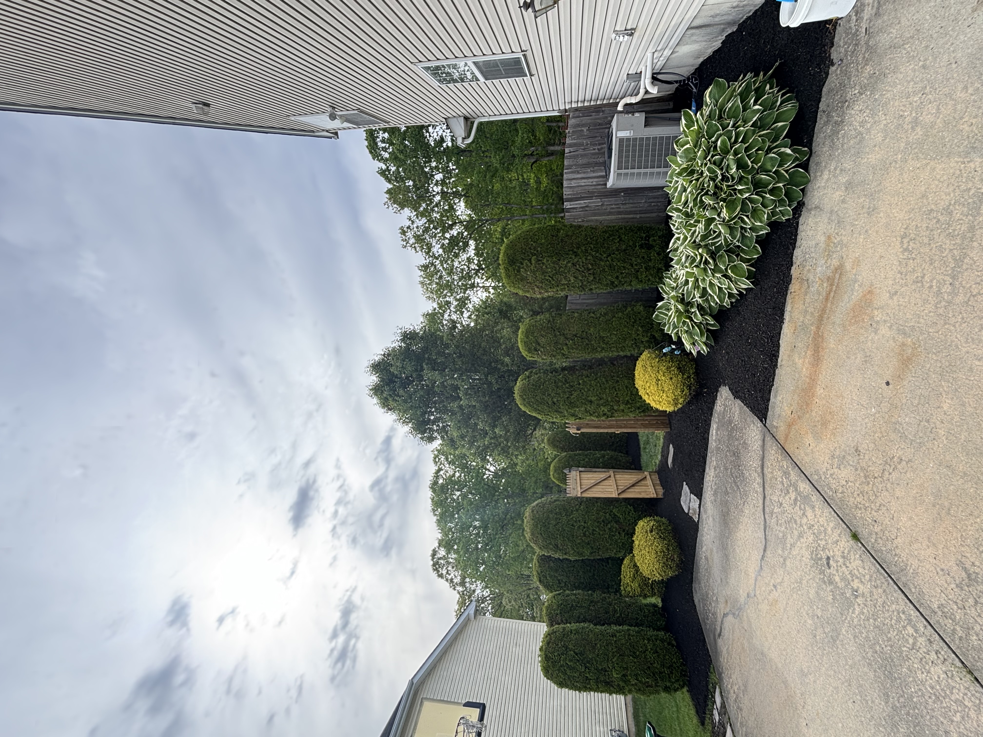 Arborvitae & Hosta Beds