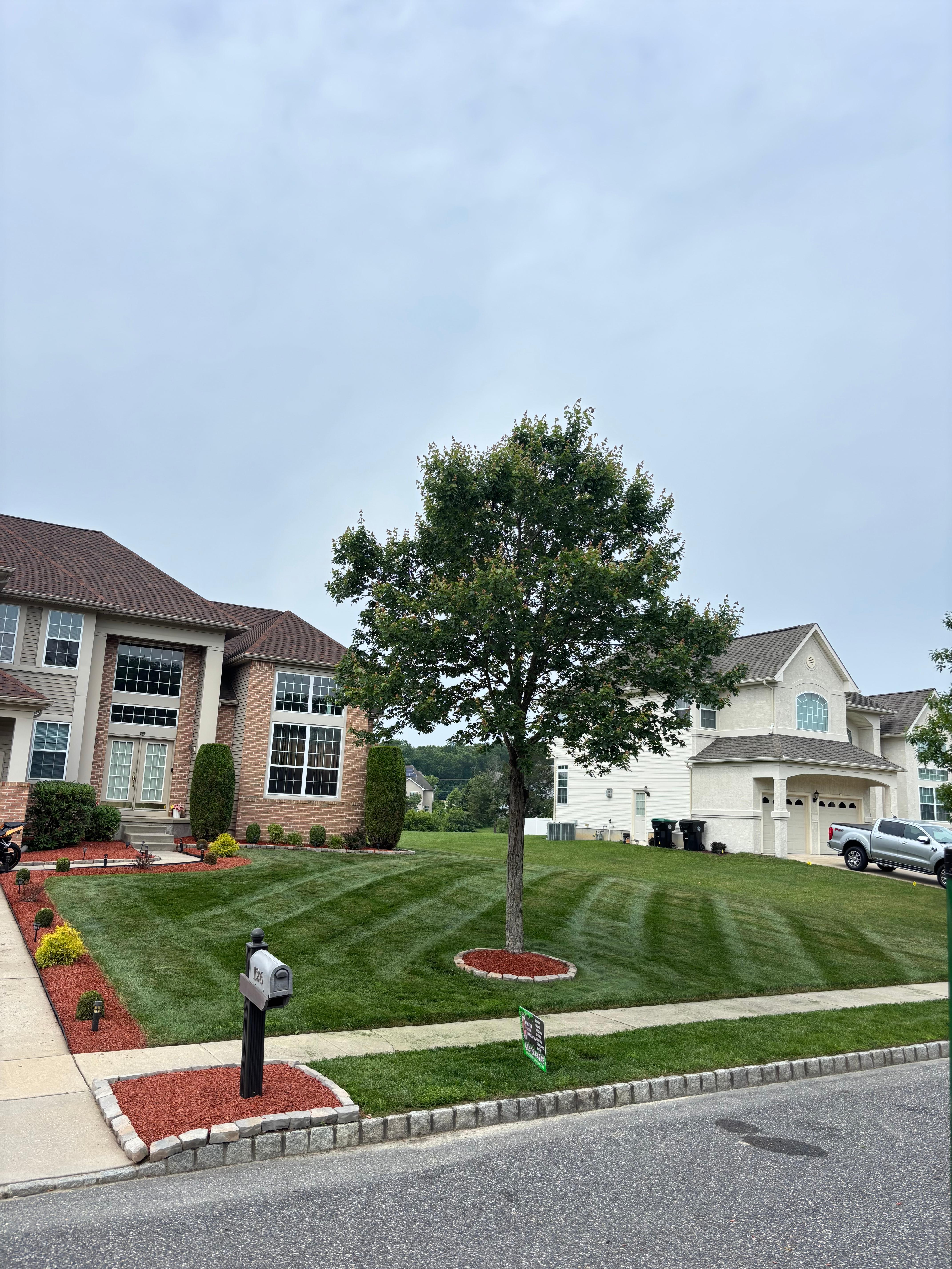 Striped Lawn with Red Mulch Borders