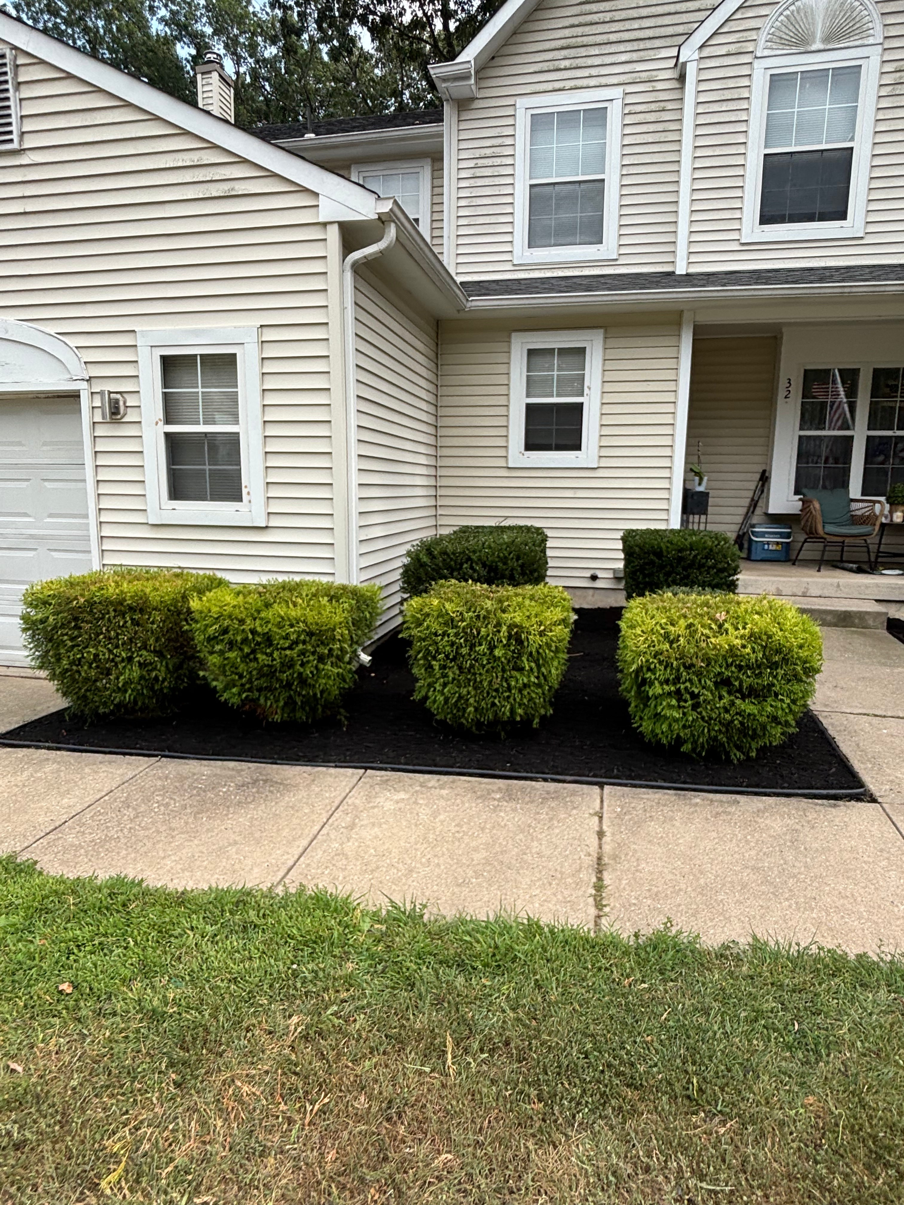 Shrub Shaping & Mulch Install